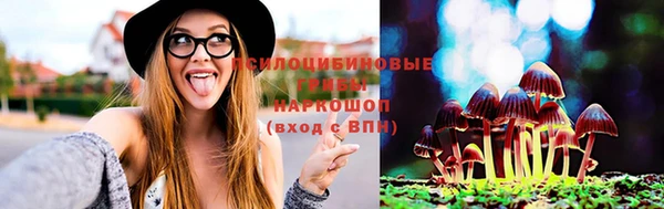 мескалин Баксан