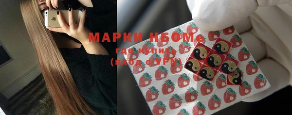 ГАЛЛЮЦИНОГЕННЫЕ ГРИБЫ Сатка