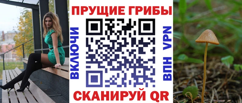 купить  цена  Ачхой-Мартан  Псилоцибиновые грибы Psilocybine cubensis 